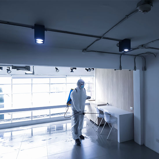 Clean Solution Services