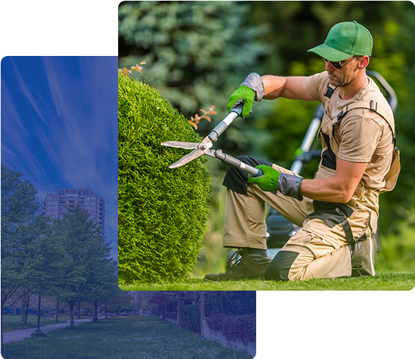 Commercial Landscaping Services