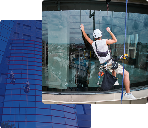 Commercial Window Cleaning Services